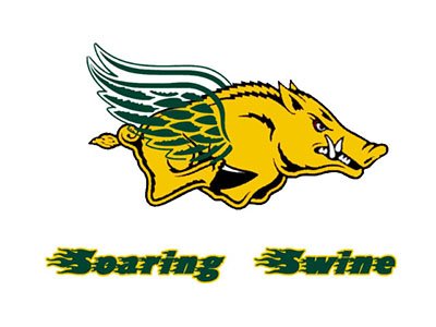 SoaringSwine-Fantasy-Football-Logo