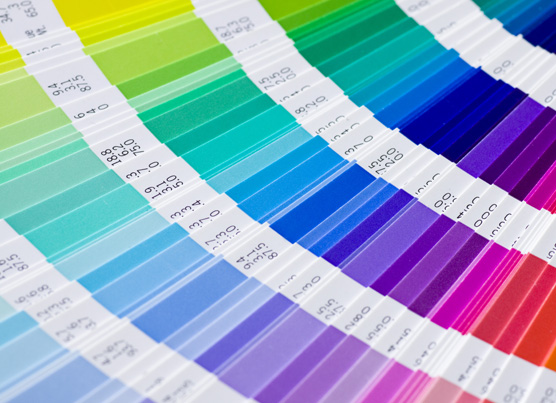 Color Choices