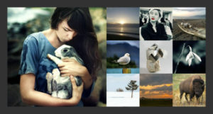 Phototools 2 - collage